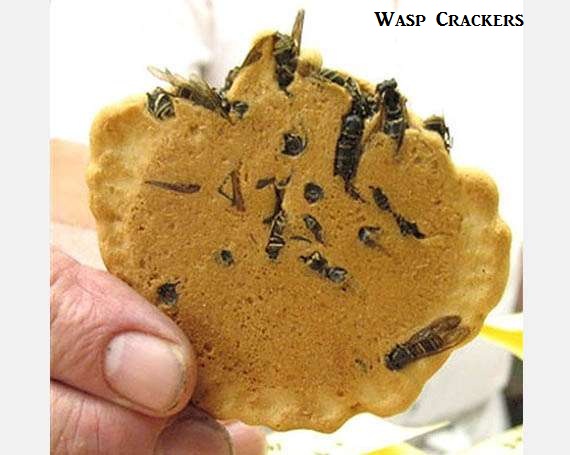 Craziest Japanese Snacks